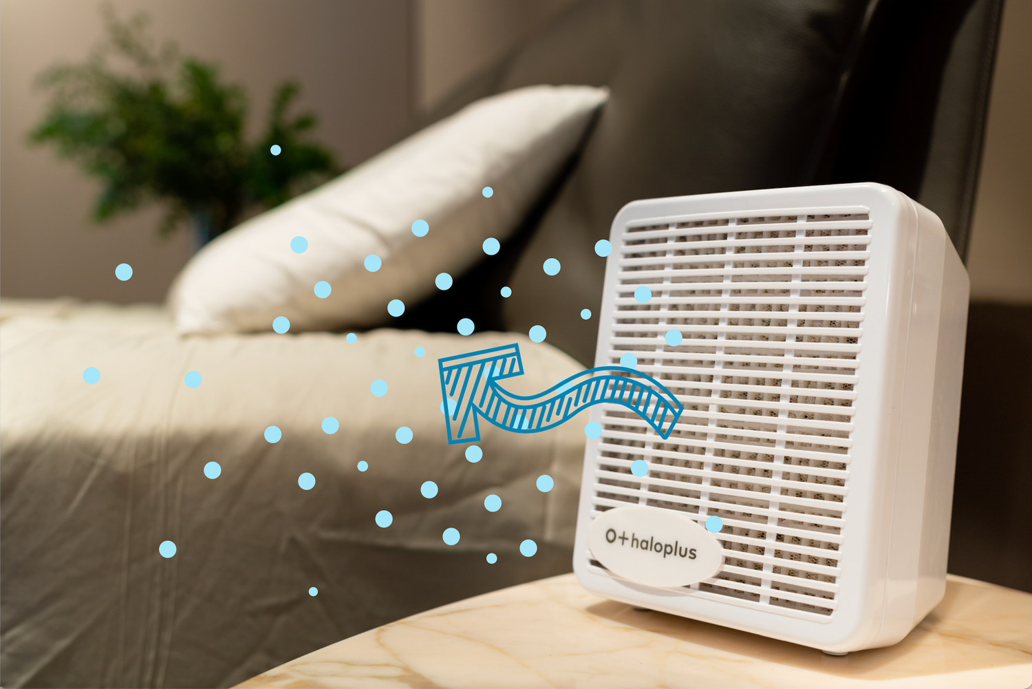 Haloplus halotherapieapparaat