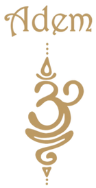 Zoutbus Prinsenbeek logo