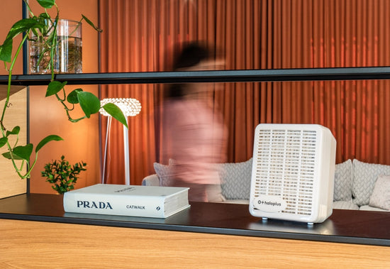 The evolution of salt rooms through the ages: from mines to your living room - Haloplus Nederland